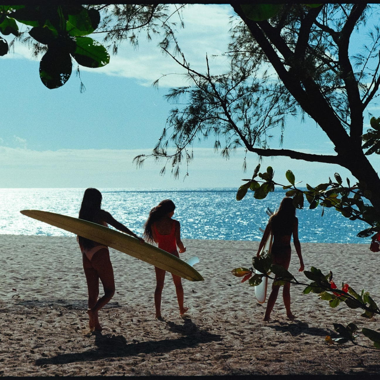 3 girls walking through the trees on the beach