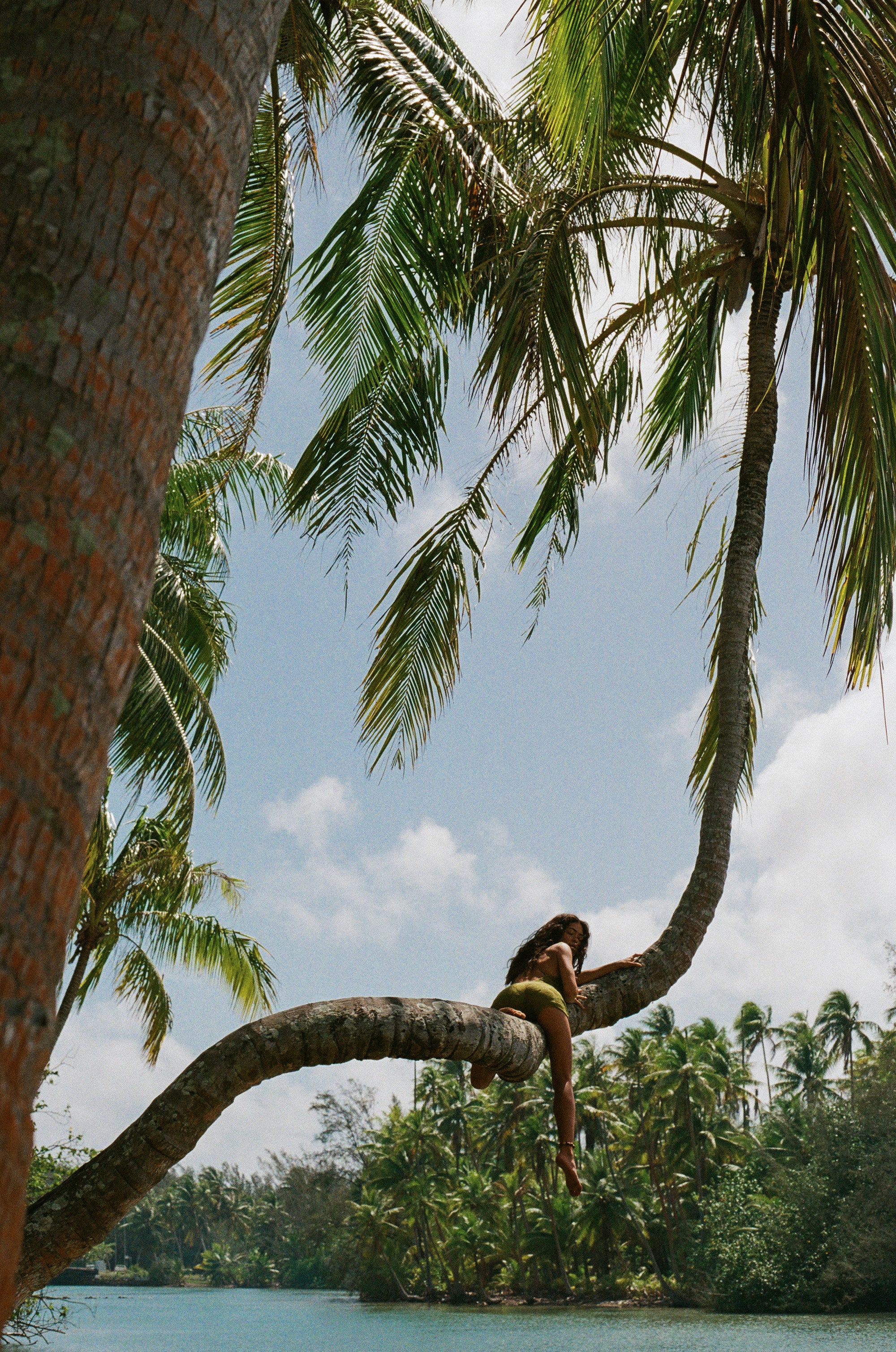 girl on a coconut tree