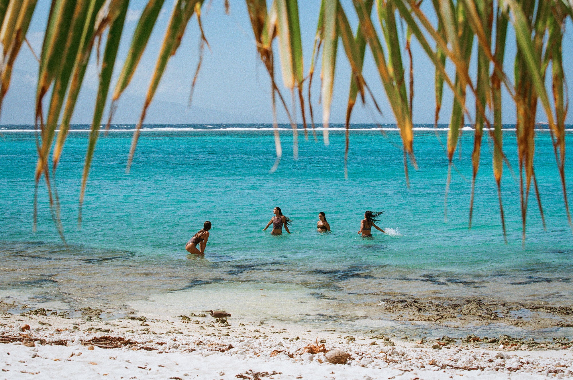 Four girls splashing around in the ocean