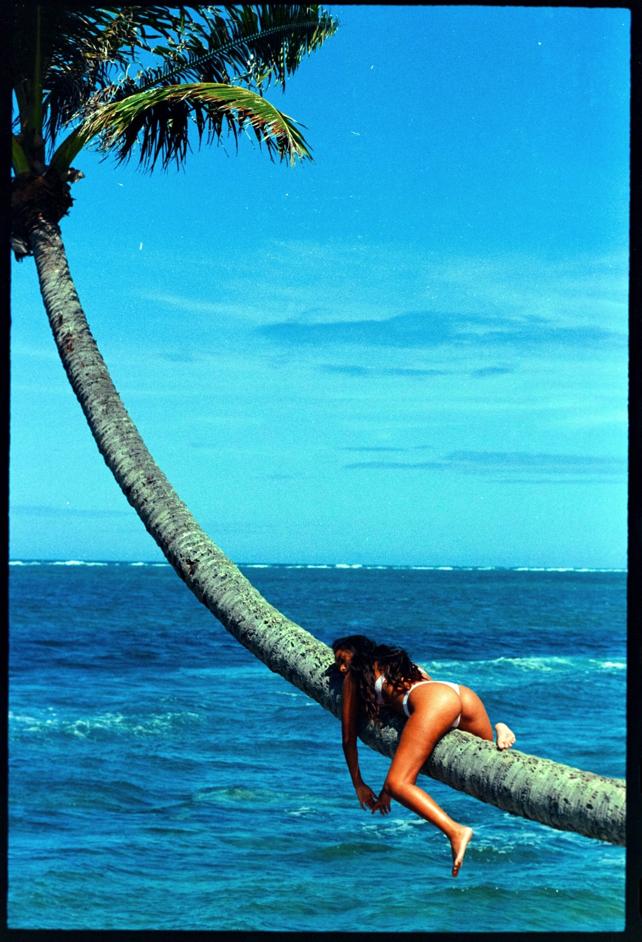 girl hugging and laying on palm tree over the ocean