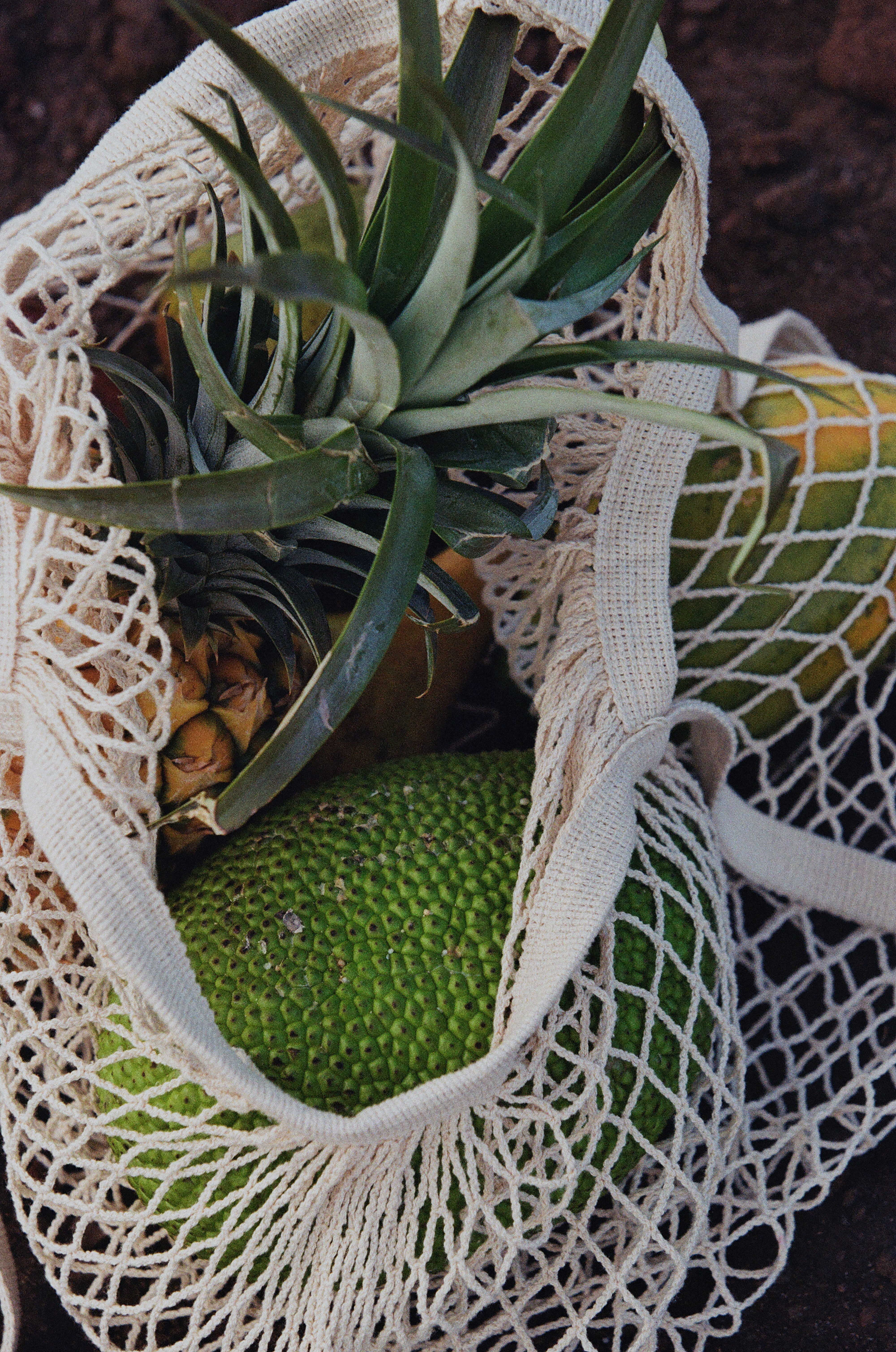 bag of fruit, breadfruit, pineapple, papaya