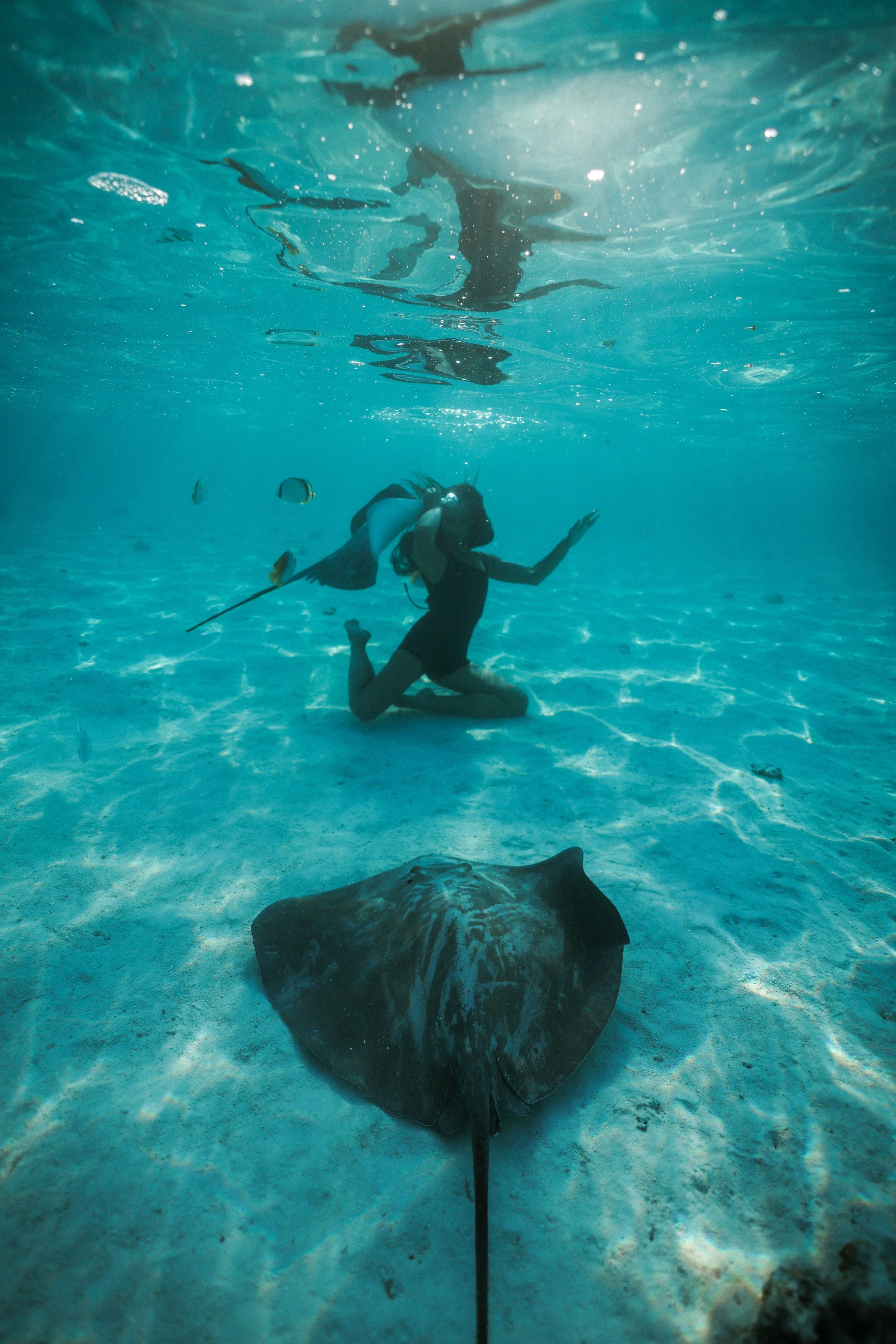 girl swimming with stingray